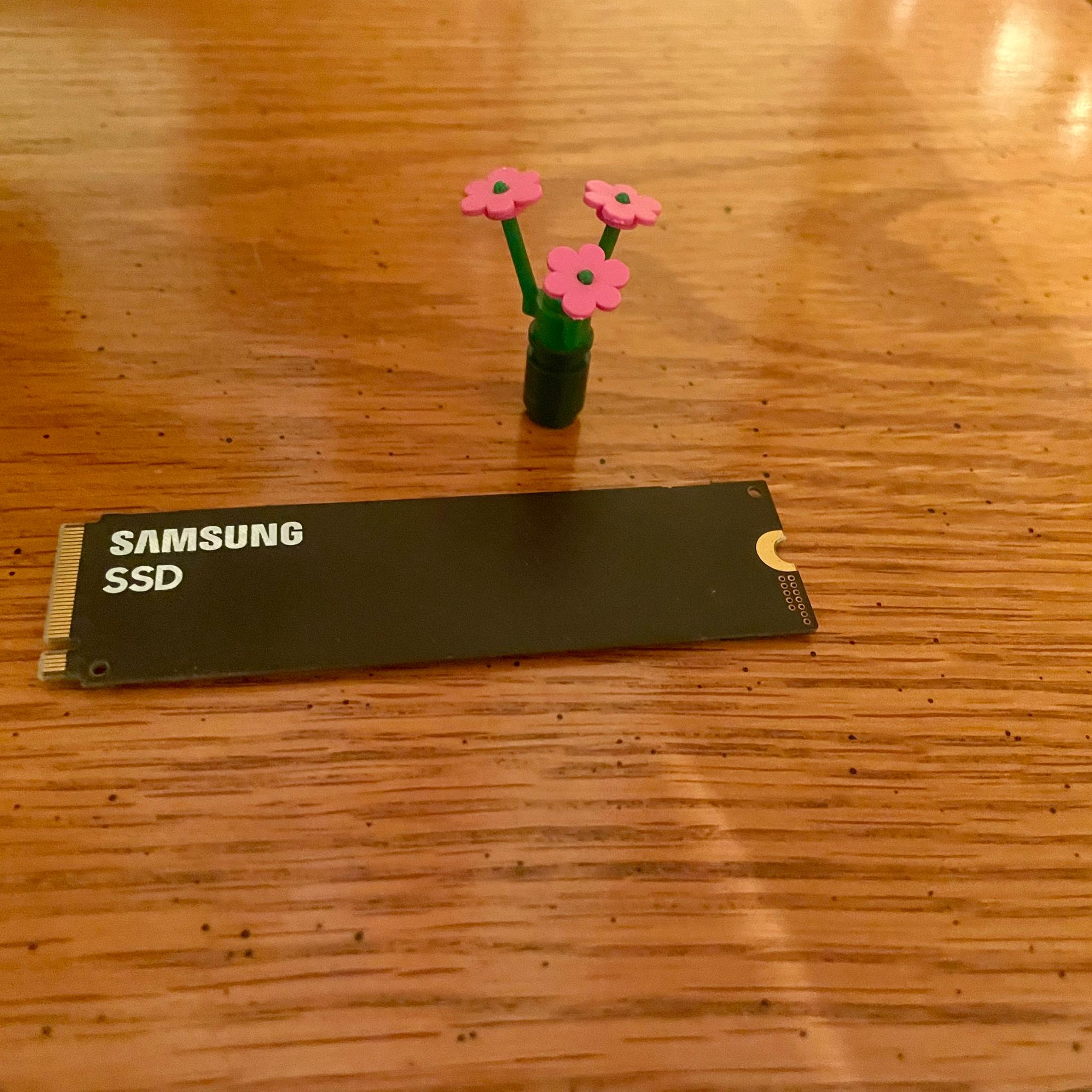 Samsung 256 GB NVMe SSD Gen3 x 4