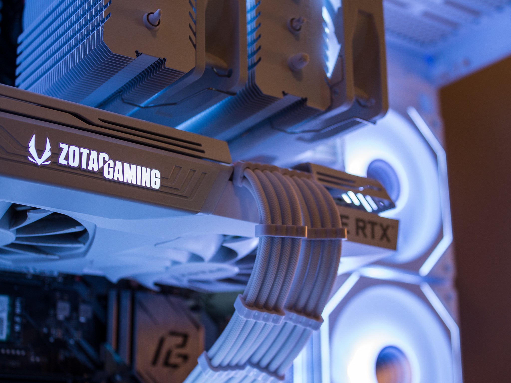 🐻‍❄️ The Polar Bear 💙🧡 RTX 3060 Ti | Ryzen 5 5600X | 1TB SSD | 32GB RGB RAM