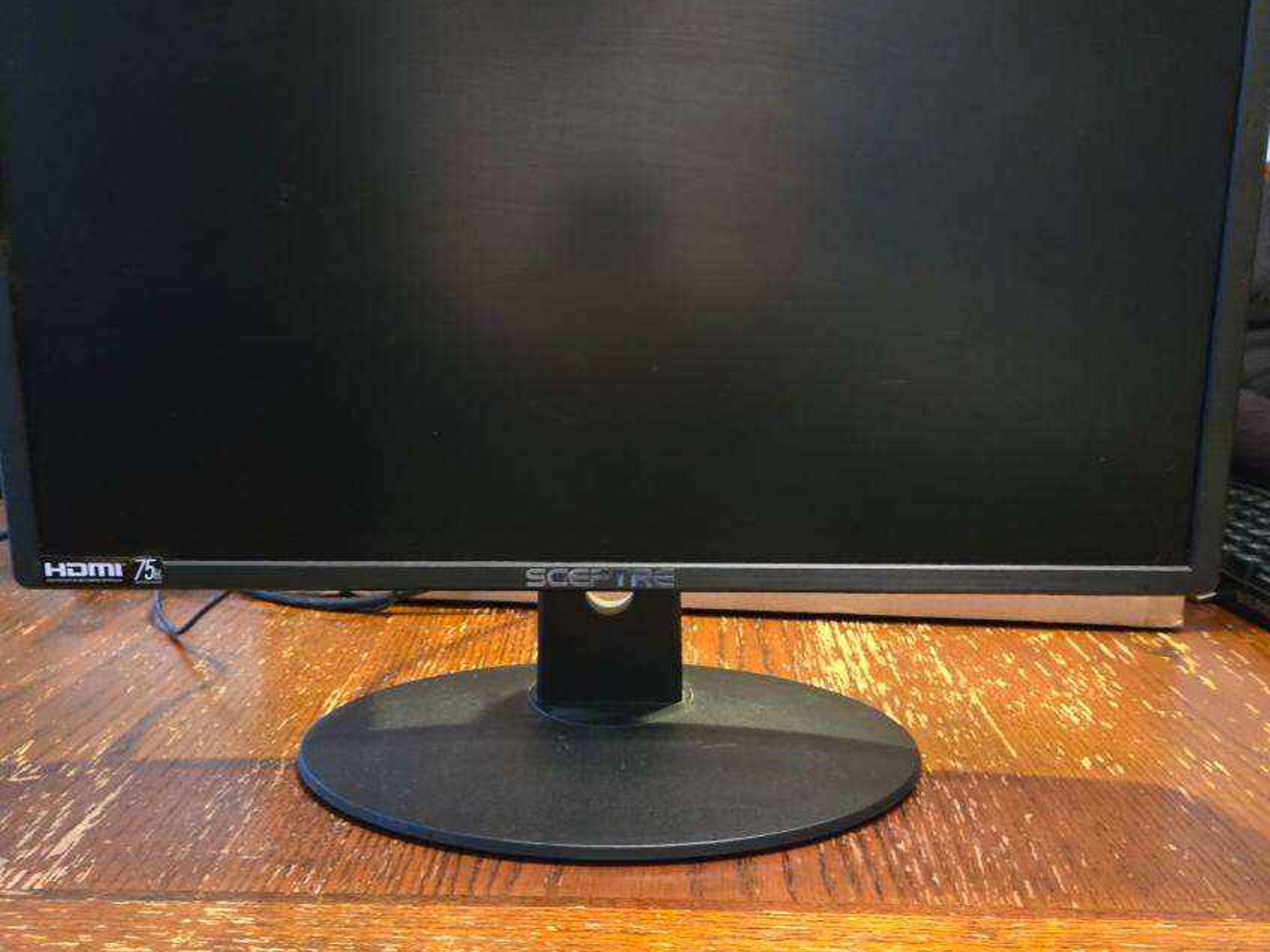 Sceptre 24 inch 1080p 75hz monitor