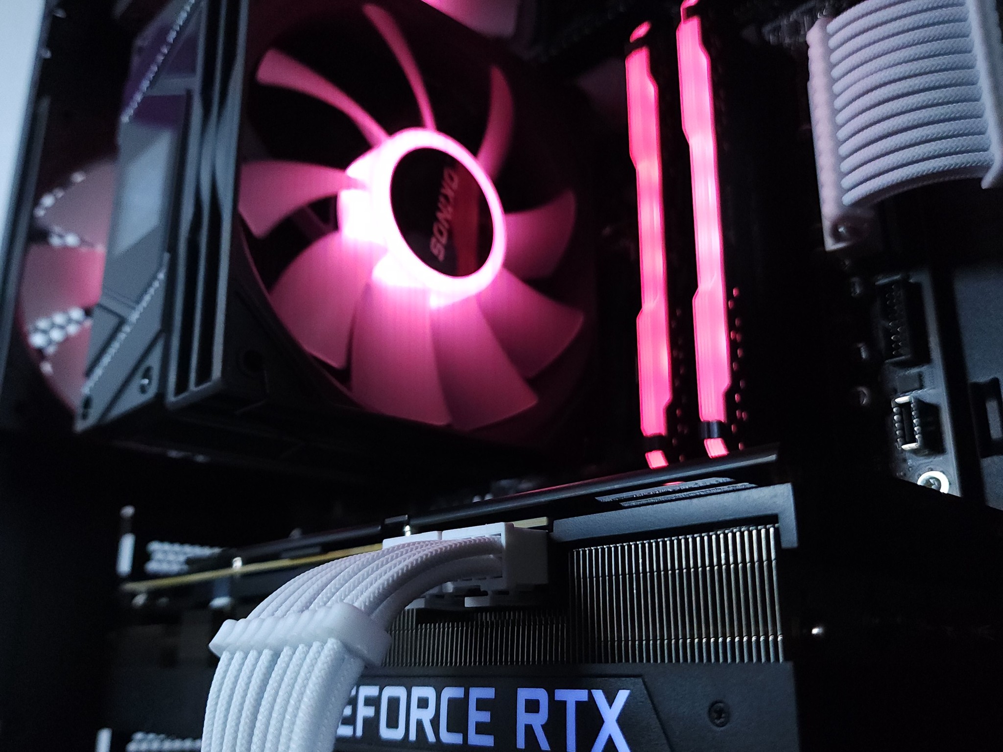 🌸RTX 3080 Core i5 12600KF ● 1440p Gaming Computer