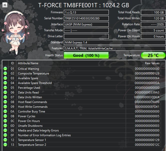 TEAMGROUP T-Force G50 1TB NVMe M.2 SSD – PCIe Gen4 – 100% Health