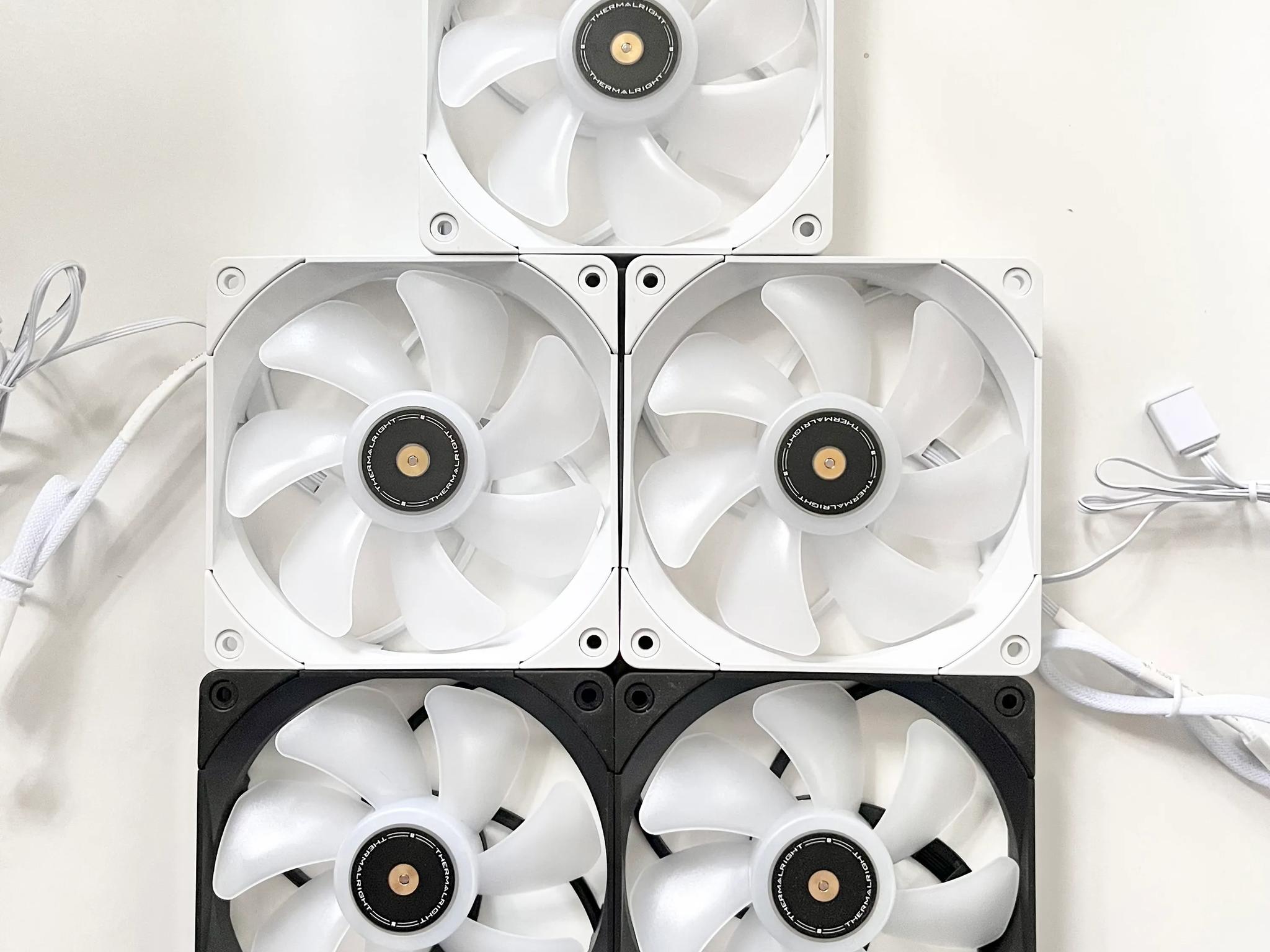 Assortment of black and white fans (5 Count)