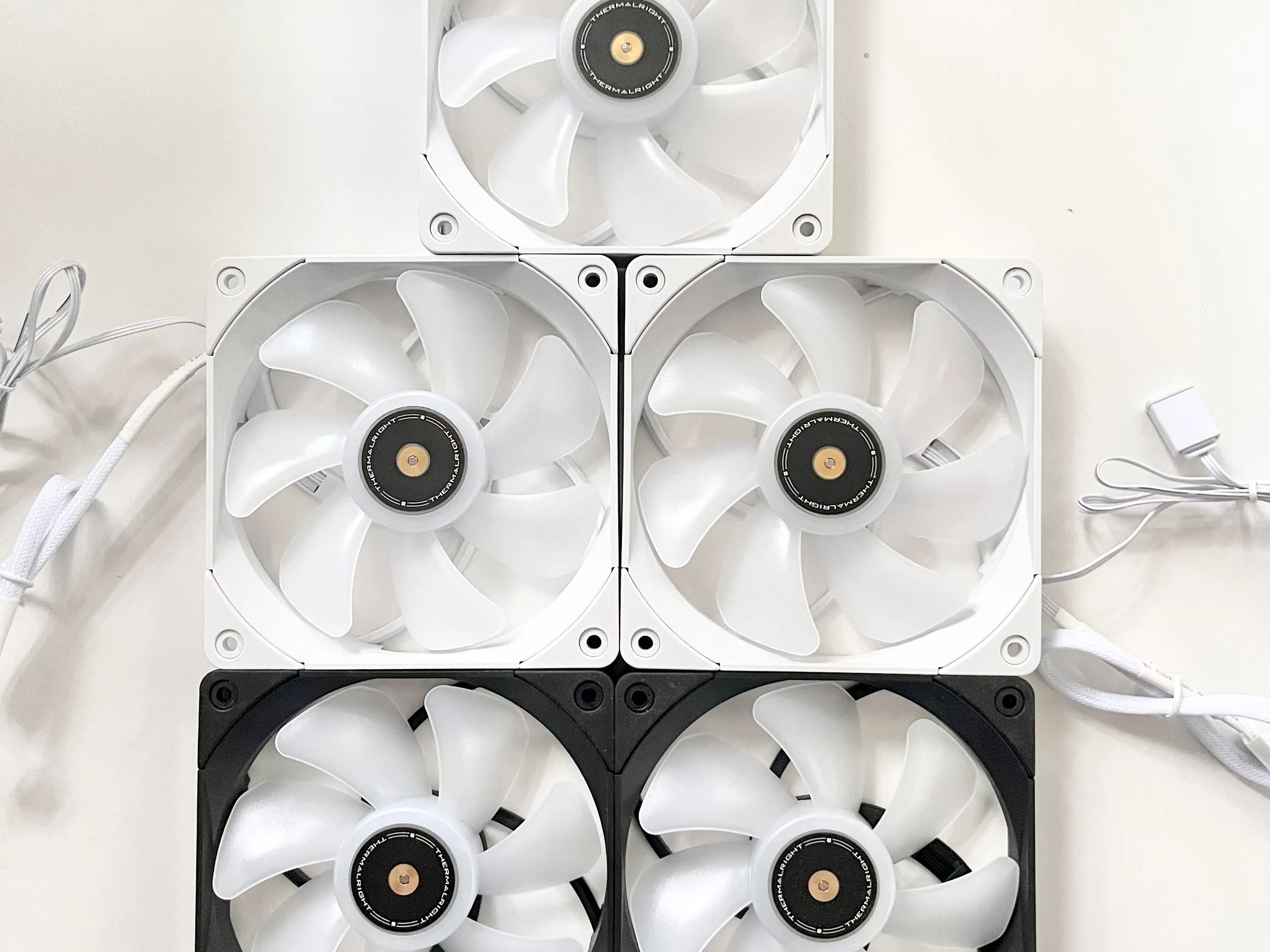 Assortment of black and white fans (5 Count)