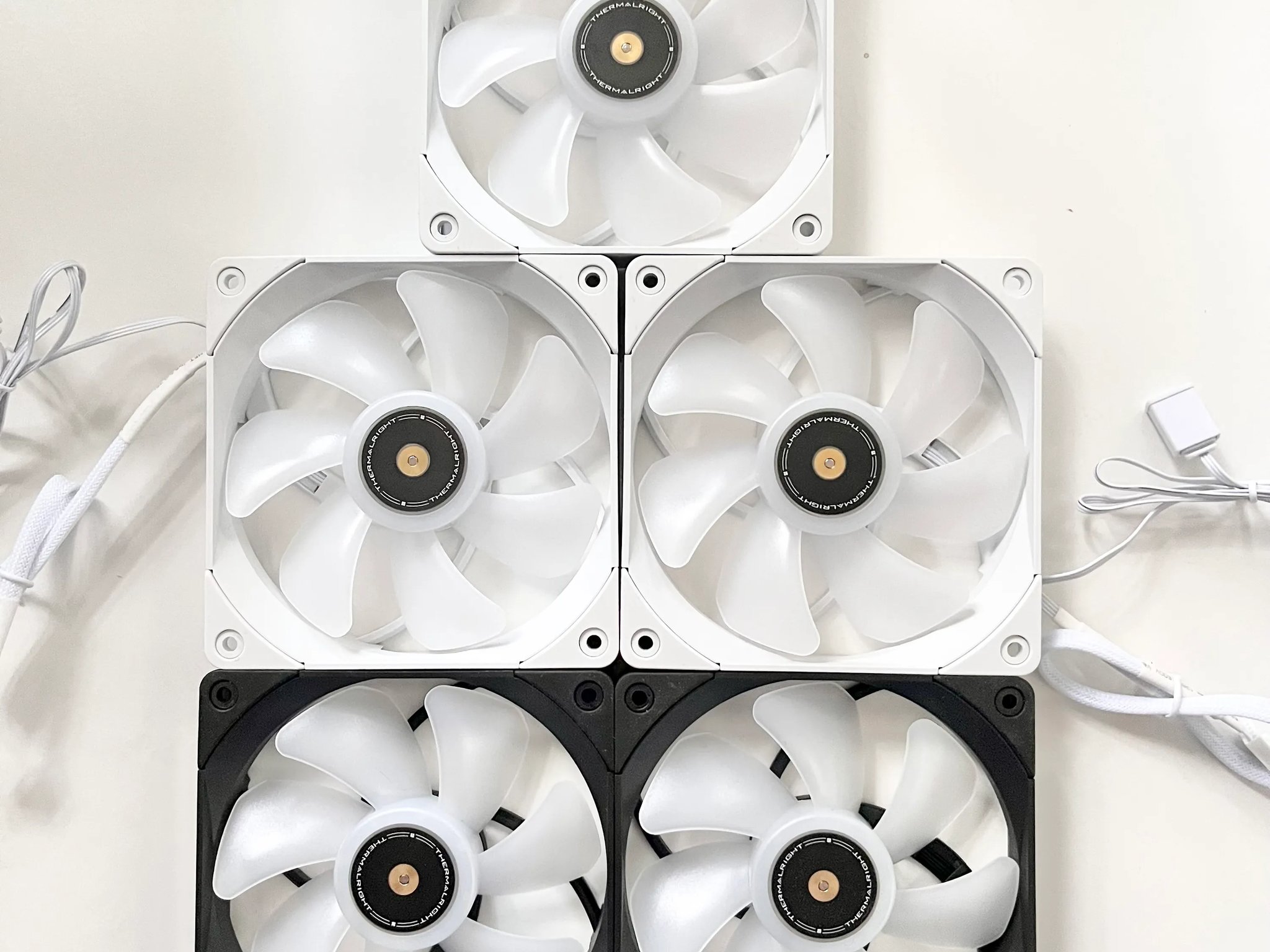 Assortment of black and white fans (5 Count)