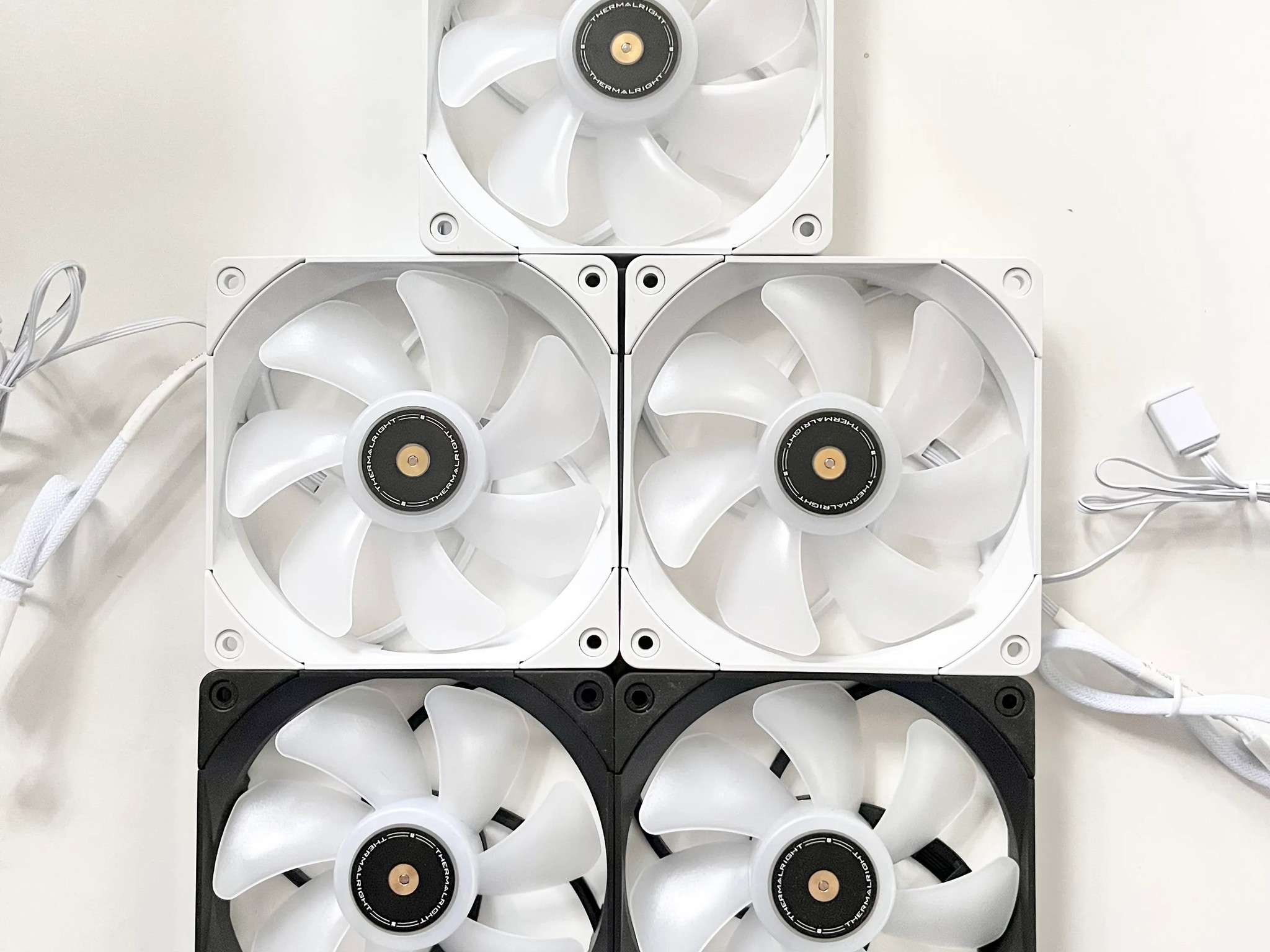 Assortment of black and white fans (5 Count)