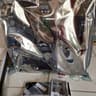 NEW ASRock Z390M Pro4 Intel Z390 LGA 1151 Micro ATX Motherboard
