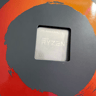 Ryzen 5 2600 (comes with box + cooler) 