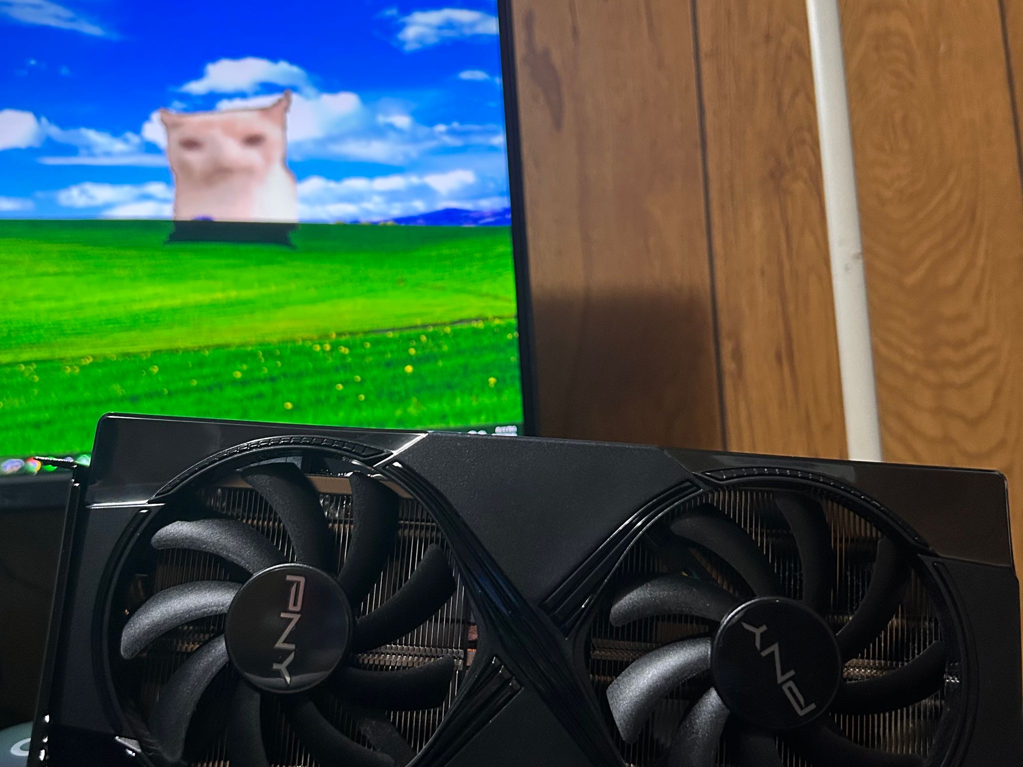 PNY GeForce RTX 5060 TI Overclocked 16 GB GDDR7