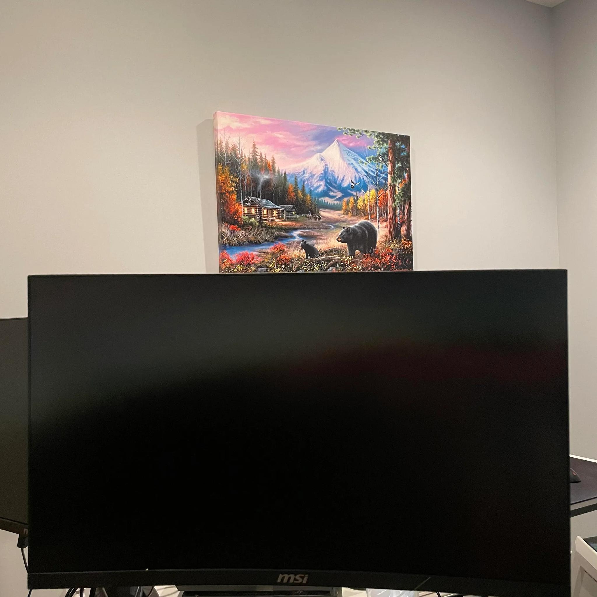 TWO 144Hz 1ms Curved MSI Monitors