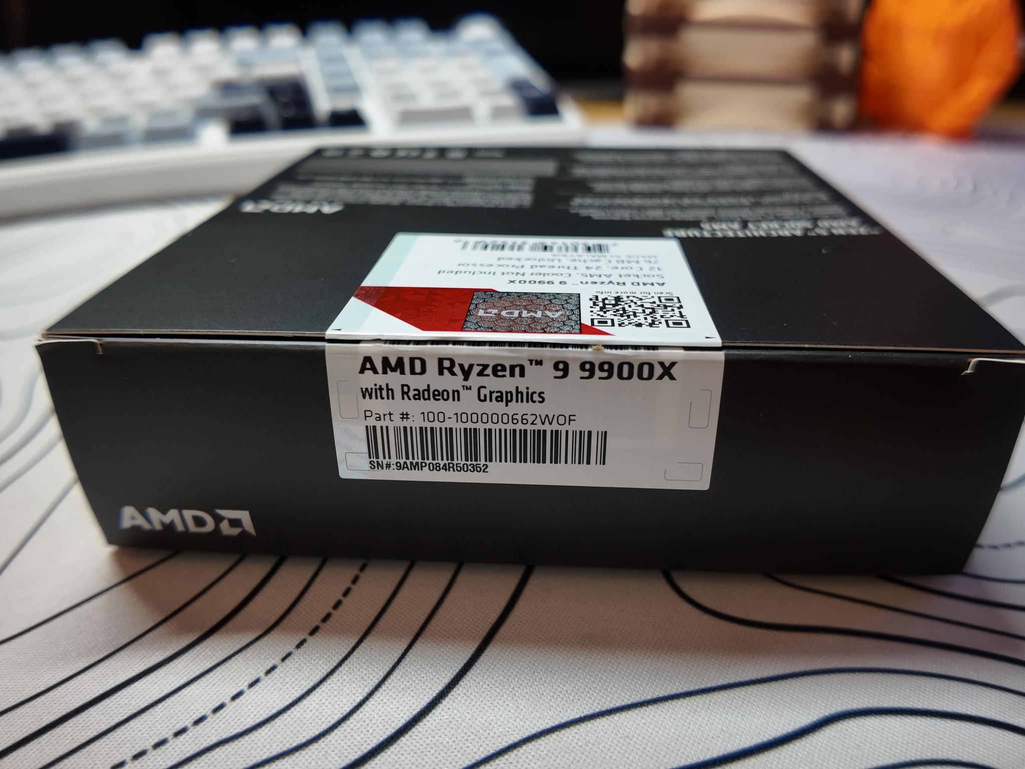 AMD Ryzen 9 9900X