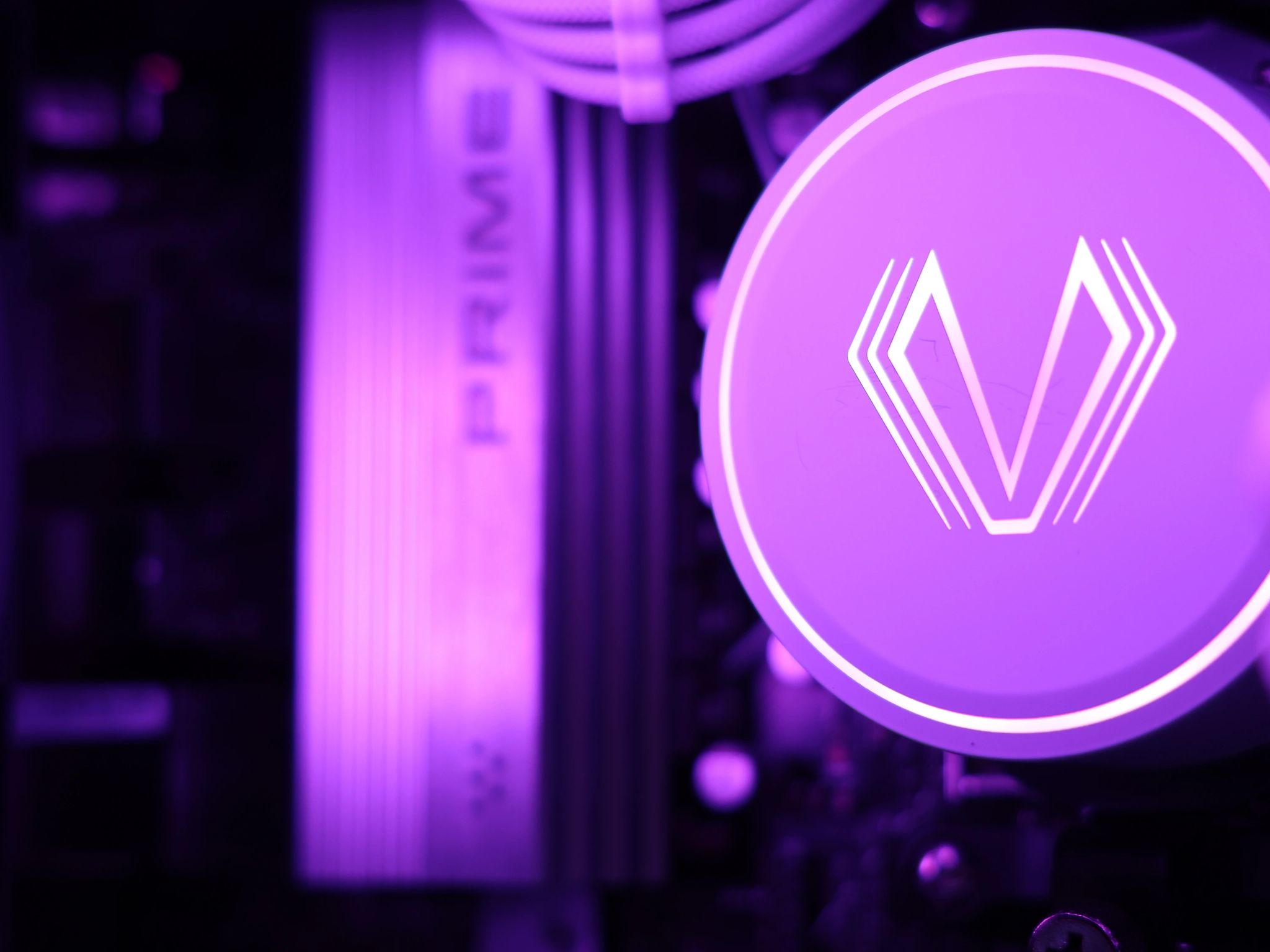 🦋 Nymph 🦋 AMD RX 6800 / AMD R5 7600X / 1TB NVME / 32GB DDR5 RAM / 360 AIO / Windows 11 Pro