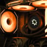 "Nocturne" by Optimist | The Elegance Series