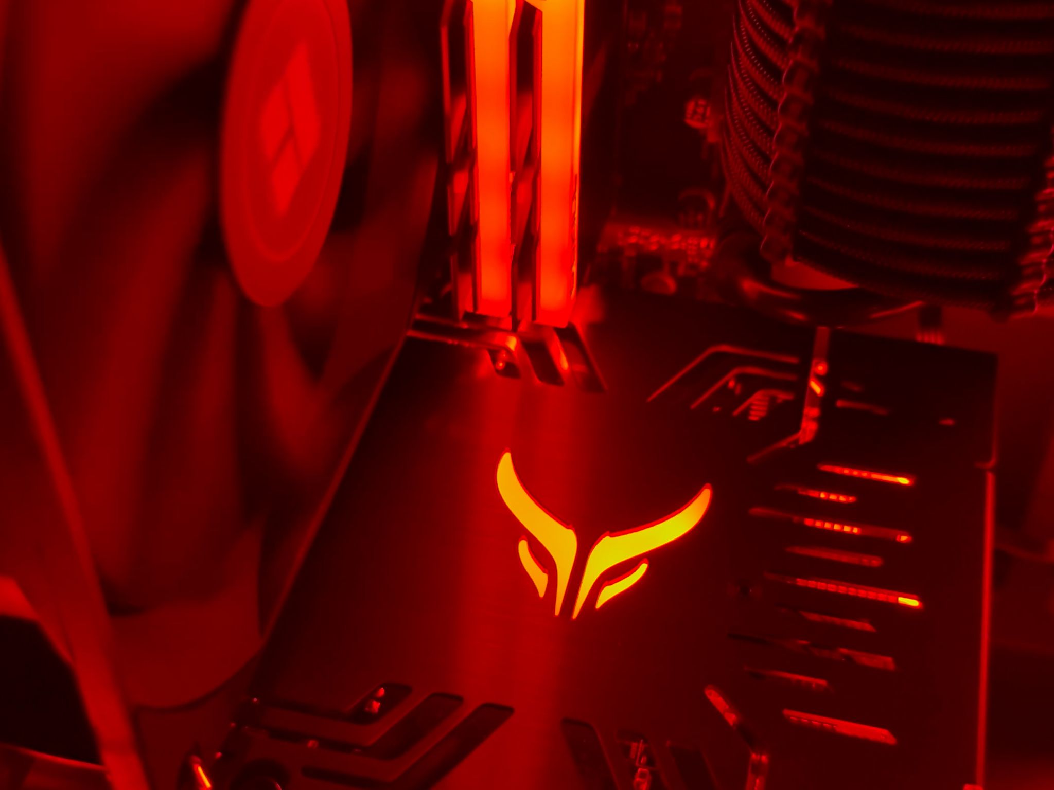 🕷️ Arachnid 🕷️ AMD RX 6600 XT / Intel Core i5 12400F  / 1TB NVME / 32GB Ram / Air Cooler / W11 Pro