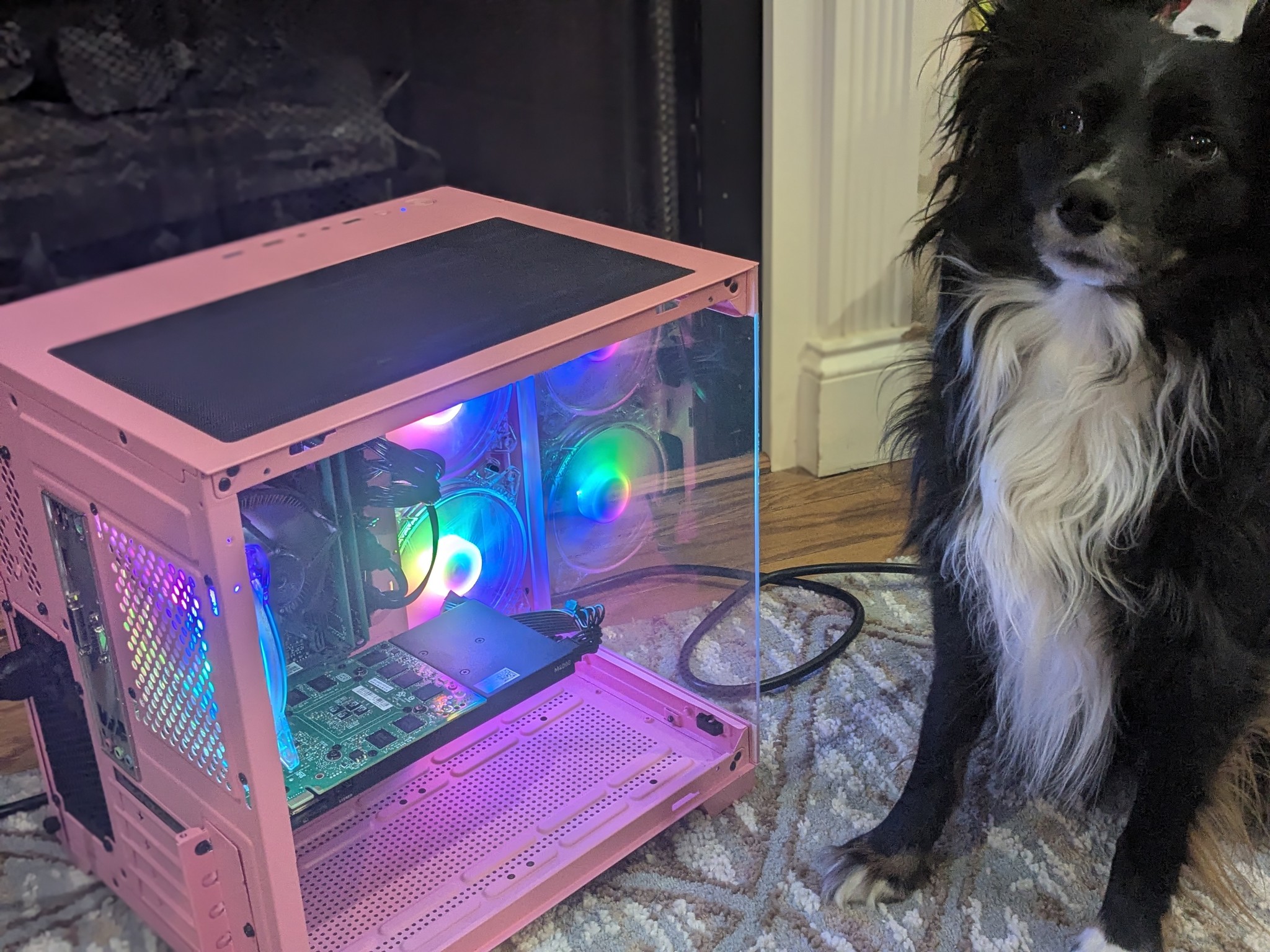 140 FPS Fortnite | Scratch and Dent | i5-8400, 16GB RAM, 8GB Nvidia, 480GB SSD, Win11
