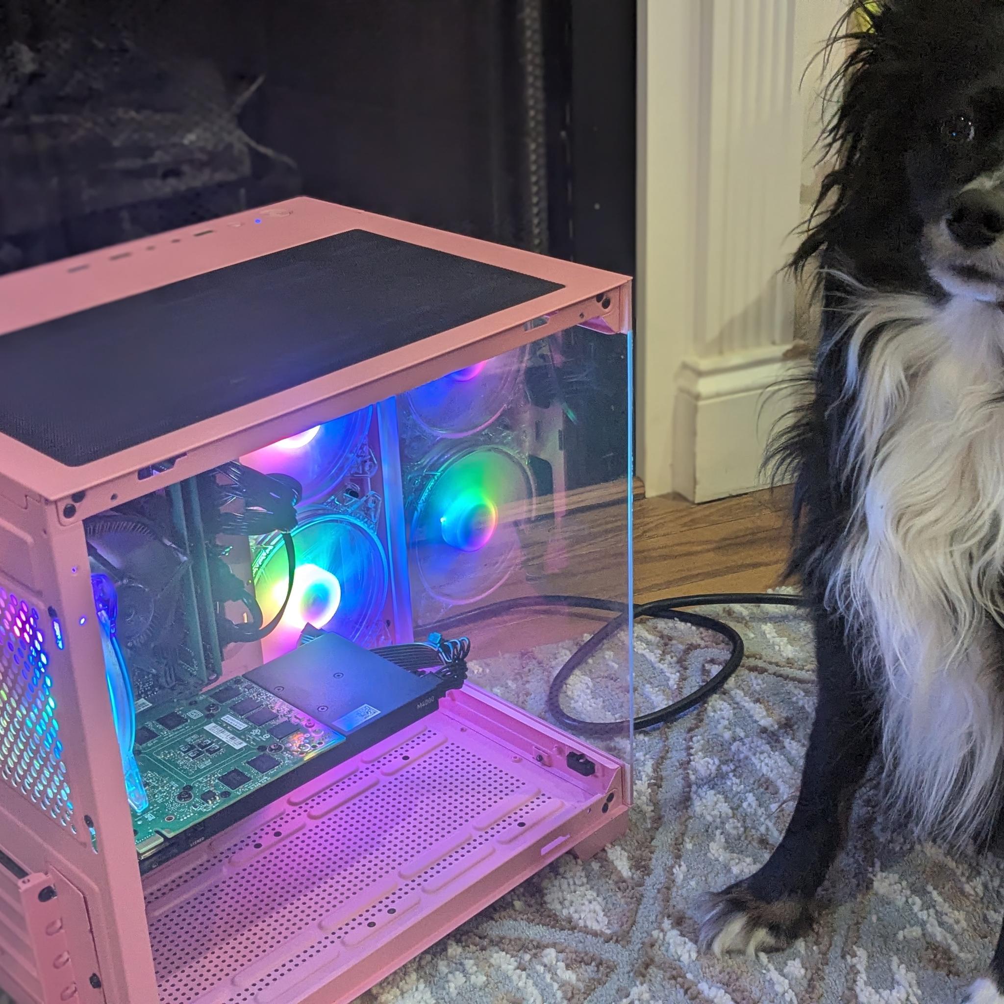 140 FPS Fortnite | Scratch and Dent | i5-8400, 16GB RAM, 8GB Nvidia, 480GB SSD, Win11