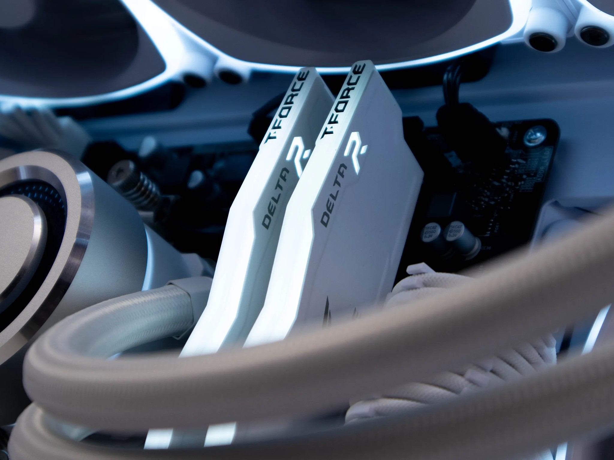 ~Elysian~ (RX 7800 XT | Ryzen 7 5800X | 32gb RAM)