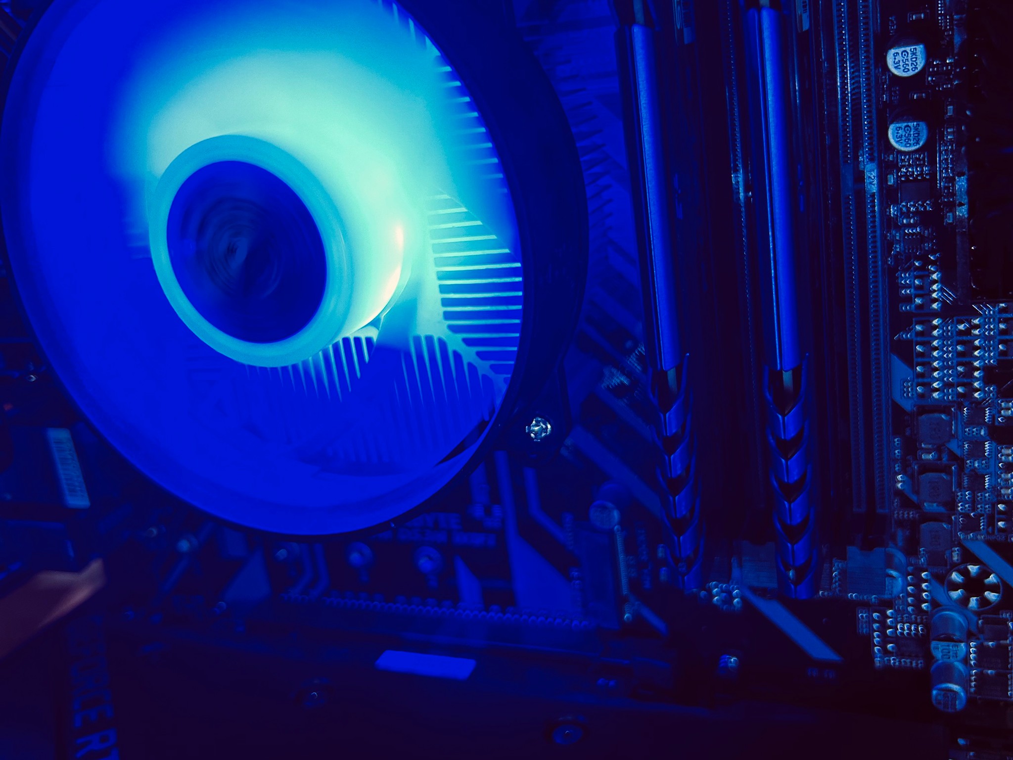 The Blue Ring - Legend of Zelda edition SALE