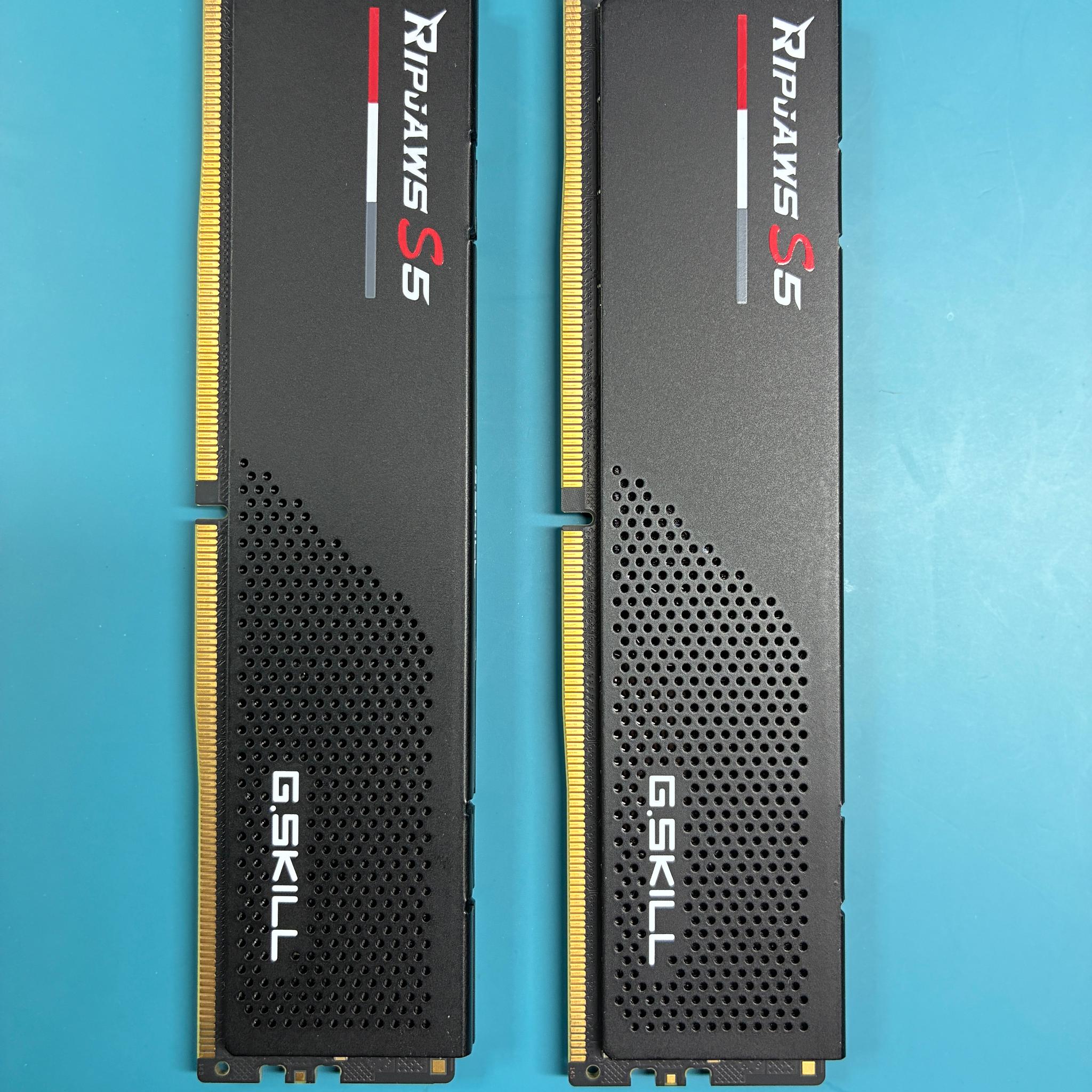 G.SKILL Ripjaws S5 Series DDR5 RAM 64GB kit (Memory)