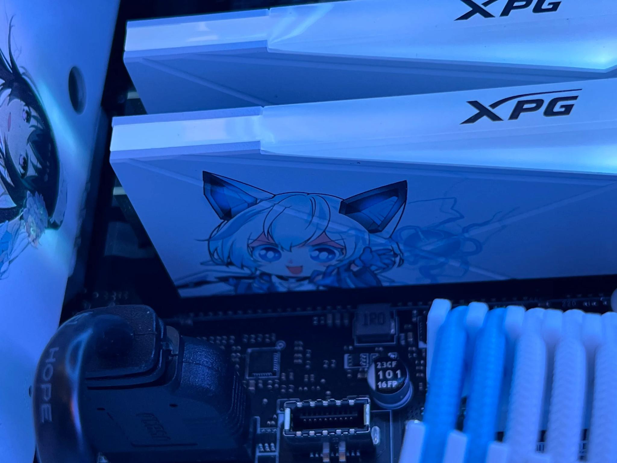 🤍💙 YESTON Sakura Build | i5-12400 | Radeon RX 6700XT 💙🤍