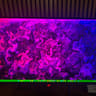 ASUS ROG Strix QD-OLED 27" (360Hz) 2K WQHD (2560 x 1440) Gaming Monitor (XG27ACDNG)