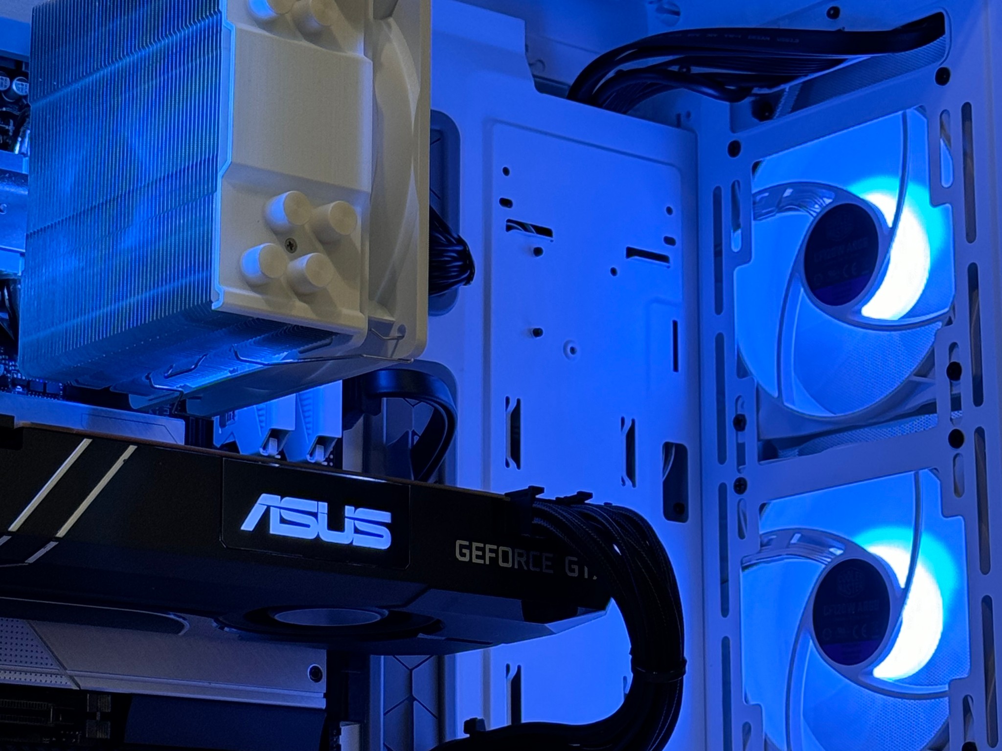 💸Budget Gamer💸Intel i5 11400F | GTX 1080ti 11GB | 16GB DDR4 | 1TB nVME SSD RGB Gaming Win10Pro