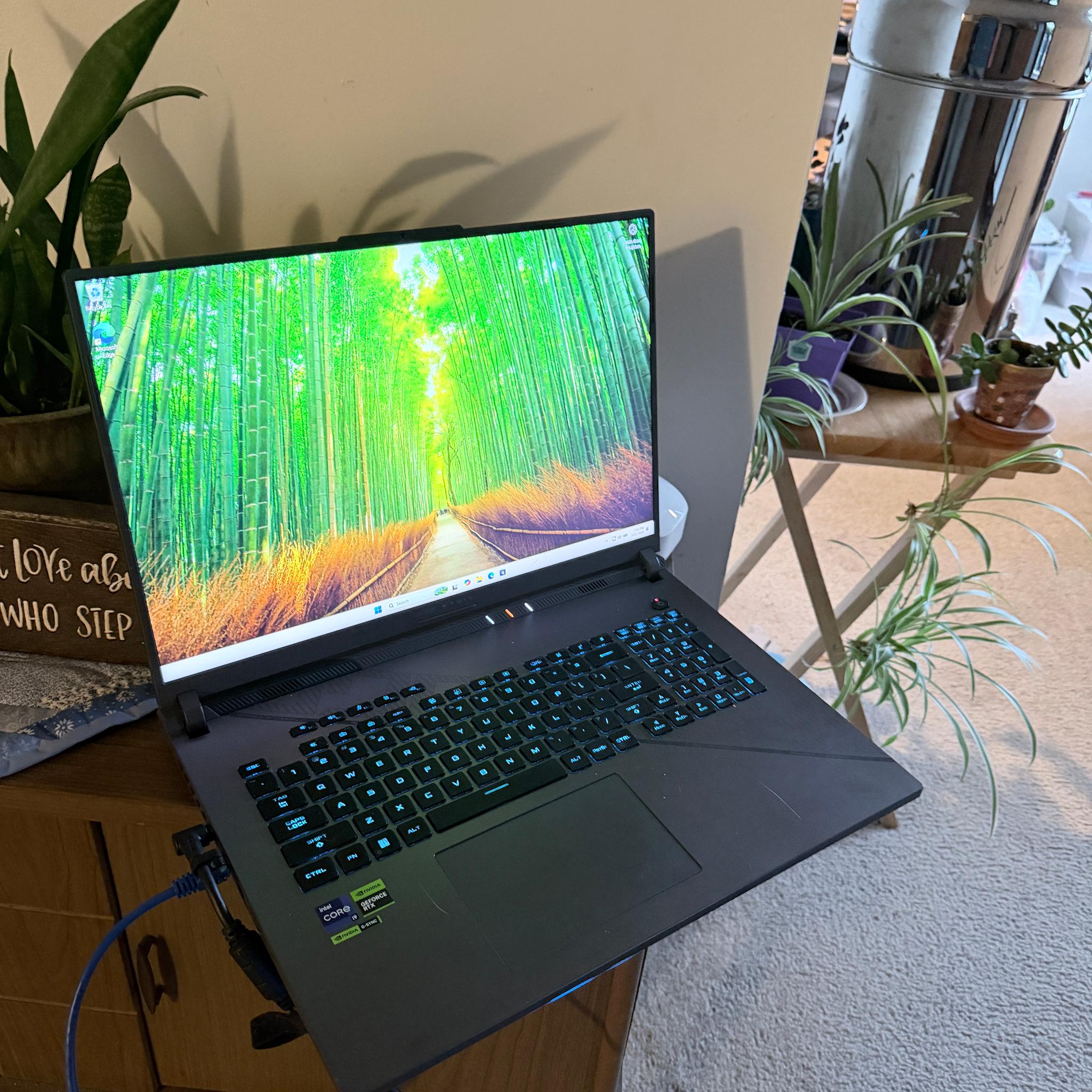 4080, 14900HX ROG STRIX G18, 32GB RAM, 2TB NVME