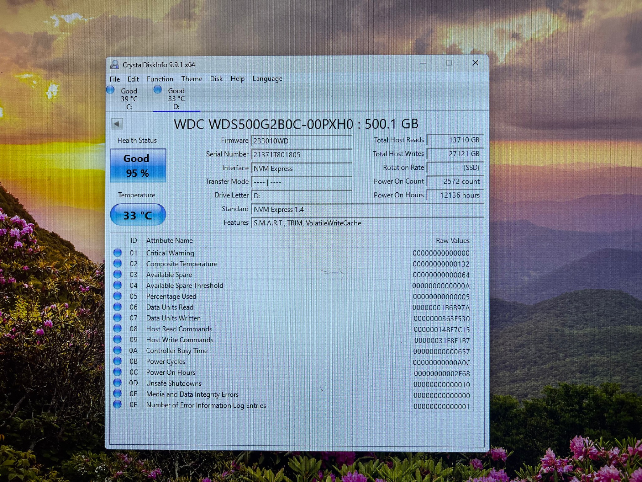 500GB PCIe Gen 3.0x4.0 M.2 NVMe SSD WD Blue SN550 - 95% Health