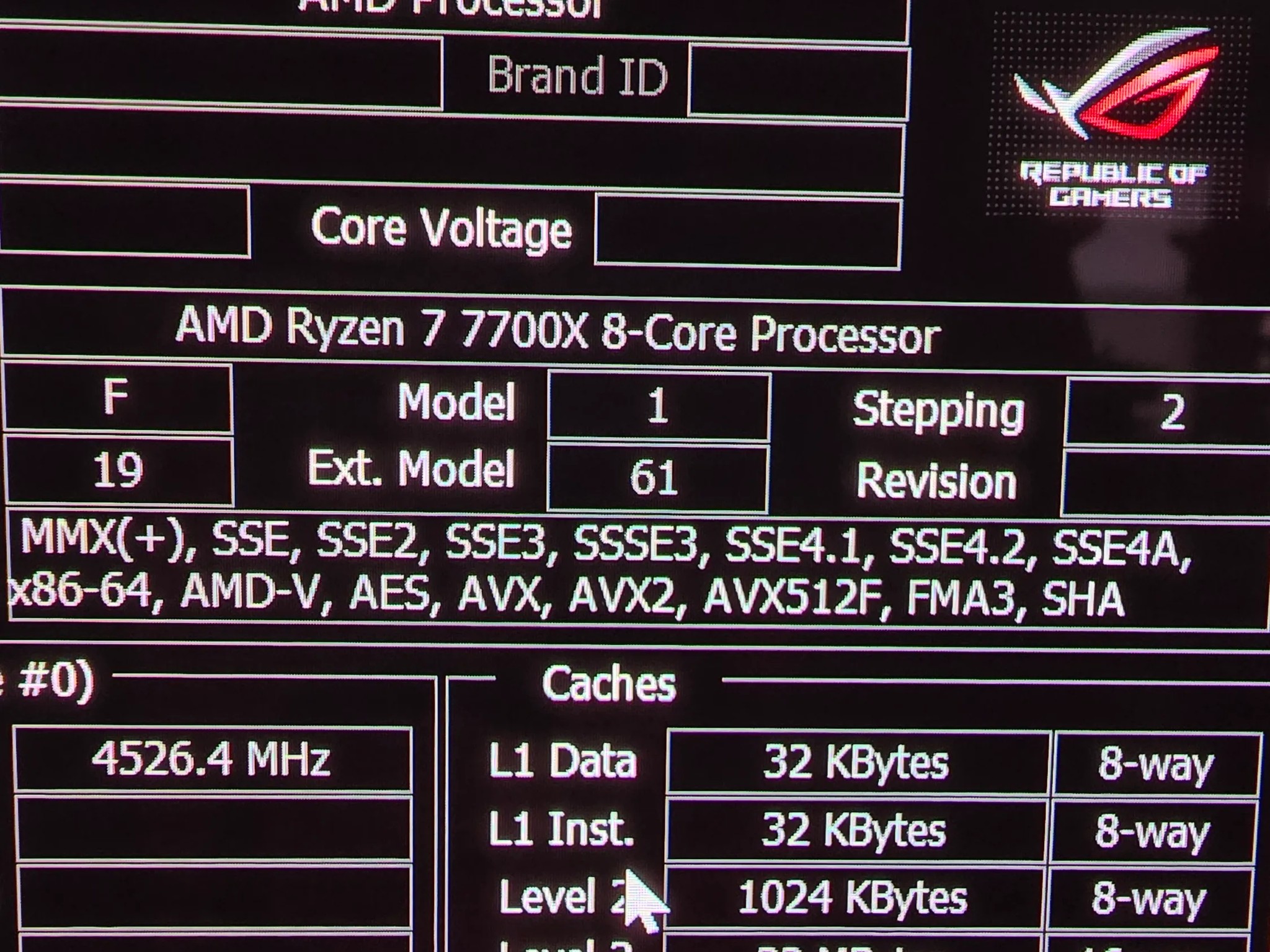 AMD Ryzen 7700x