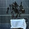 Brand New!!! Never Used!!! Corsair iCUE LINK H170i LCD Liquid CPU Cooler