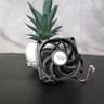 AMD Athlon 200GE w/ cooler