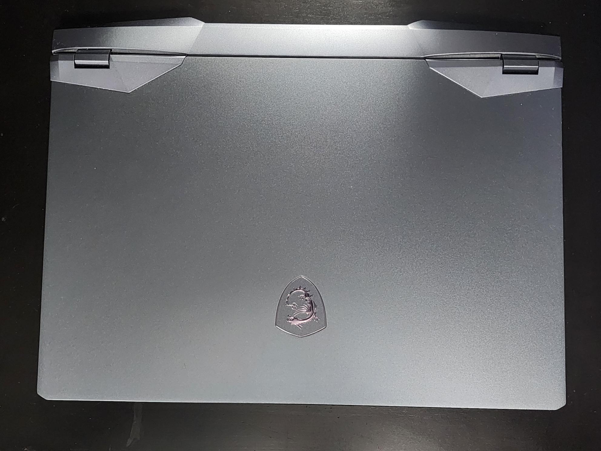 MSI Raider GE66 SFS 15.6" i7-10750H 32GB 2070 Super 1TB W11