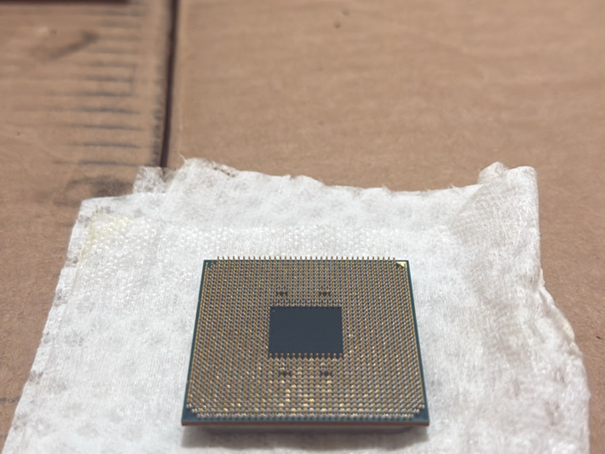AMD Ryzen 5 3600