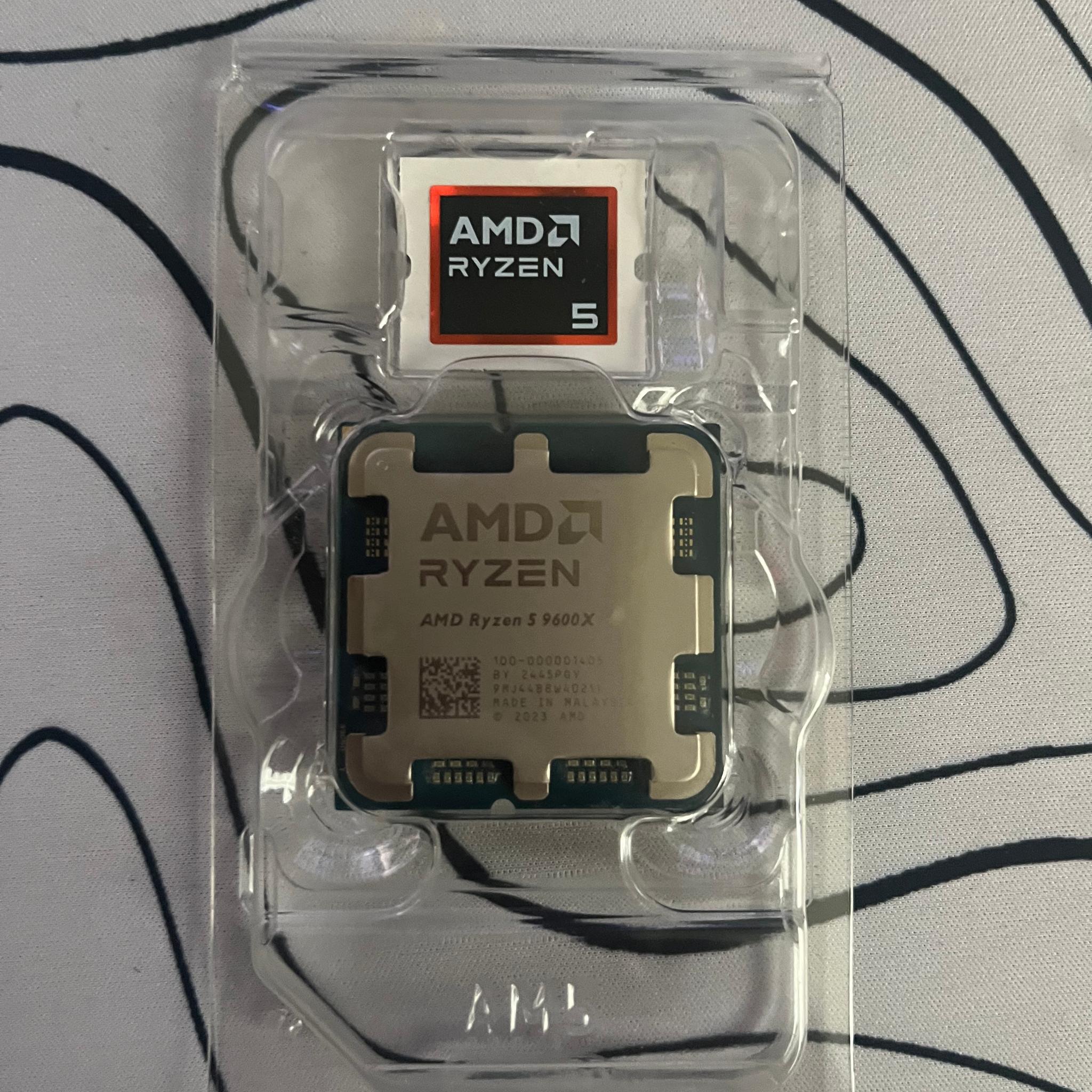 Ryzen 5 9600x