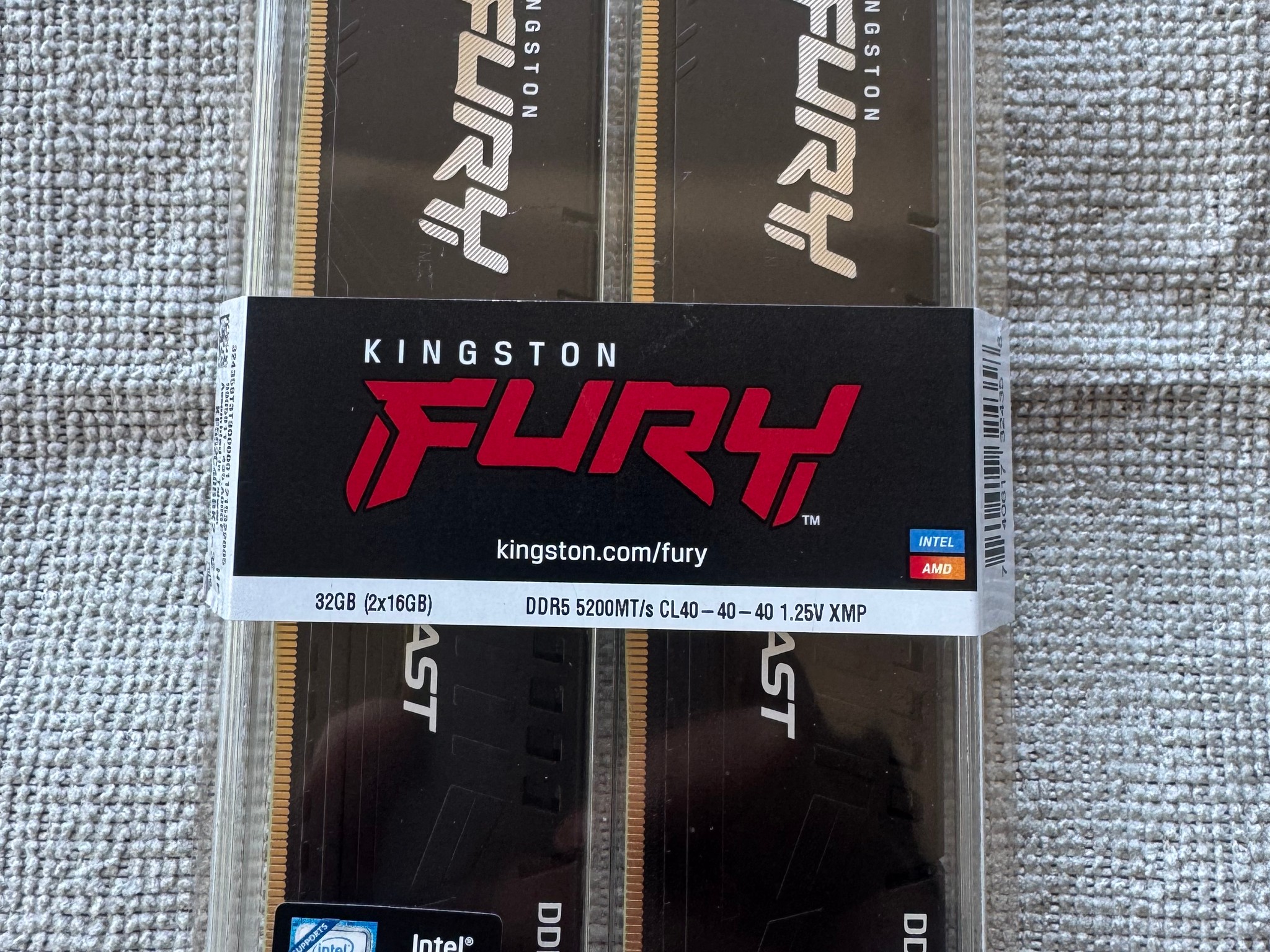 Kingston Furry Beast DDR5