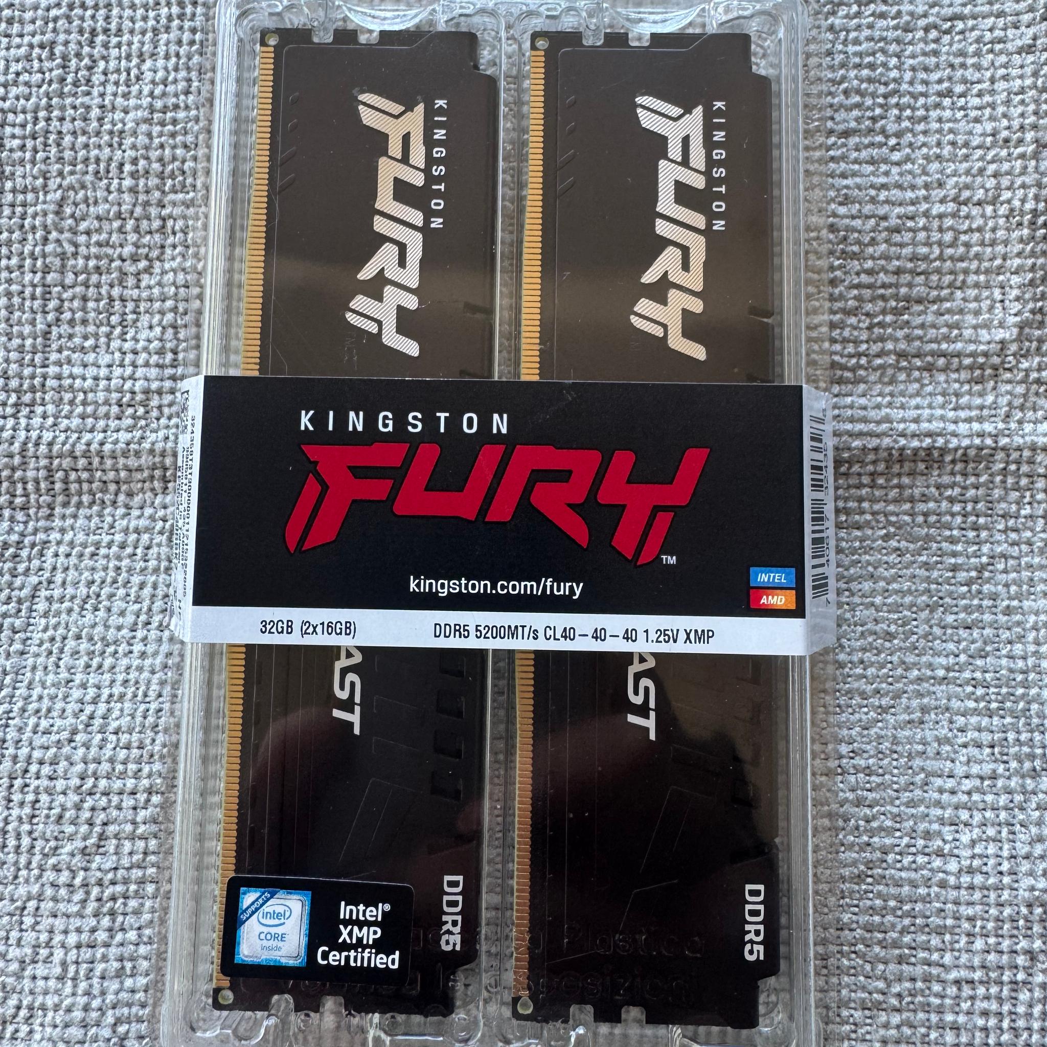 Kingston Furry Beast DDR5