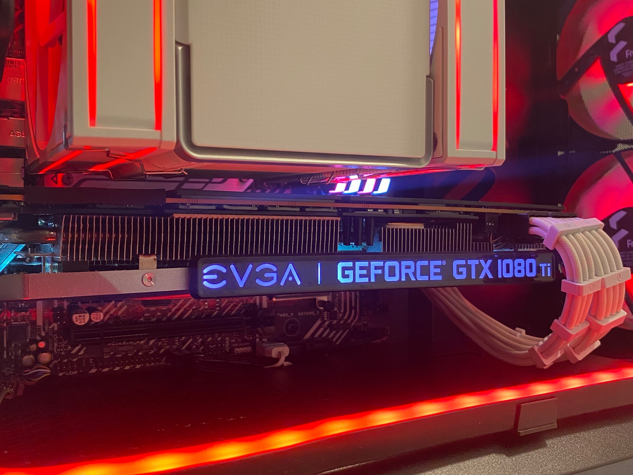 👑King Crimson♦️