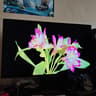 Corsair Xeneon 1440p 240hz 1ms monitor