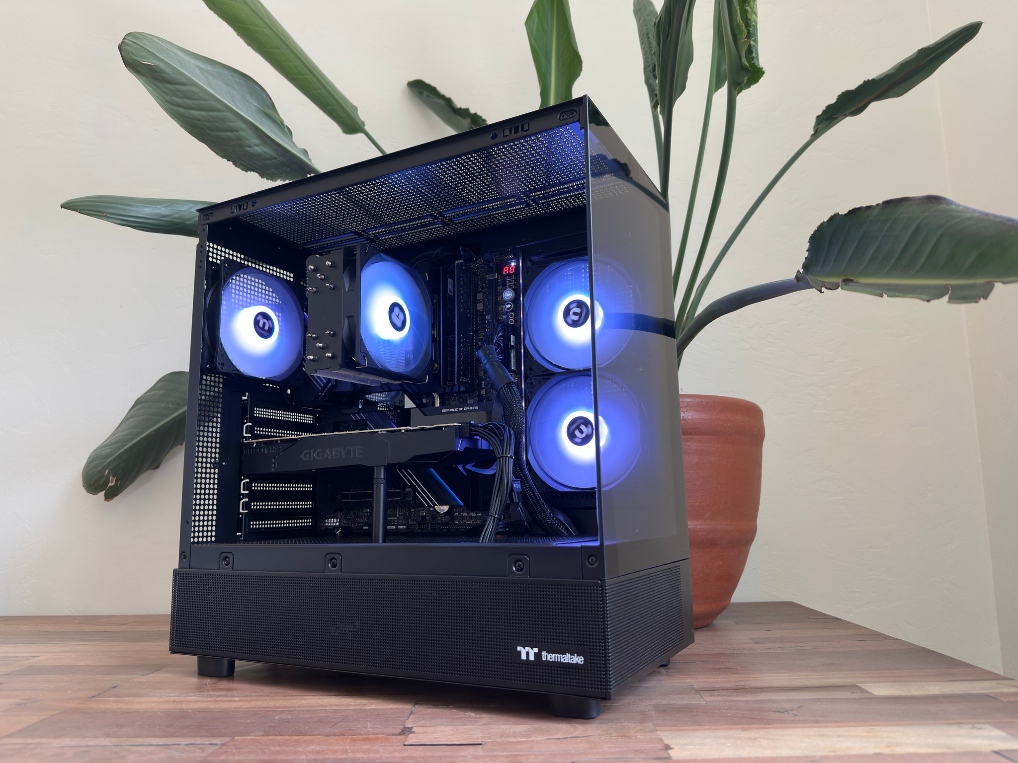 🟪 RTX 2080 Ti | i5-11600K | 2TB SSD | 64GB RAM | Windows 11 | WiFi 🟪