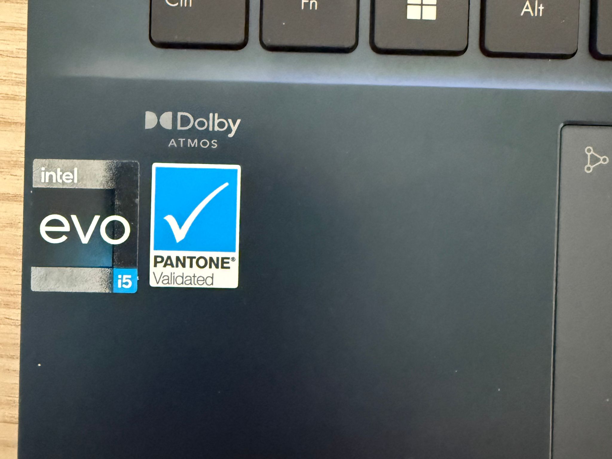 ASUS Zenbook OLED 14" Laptop