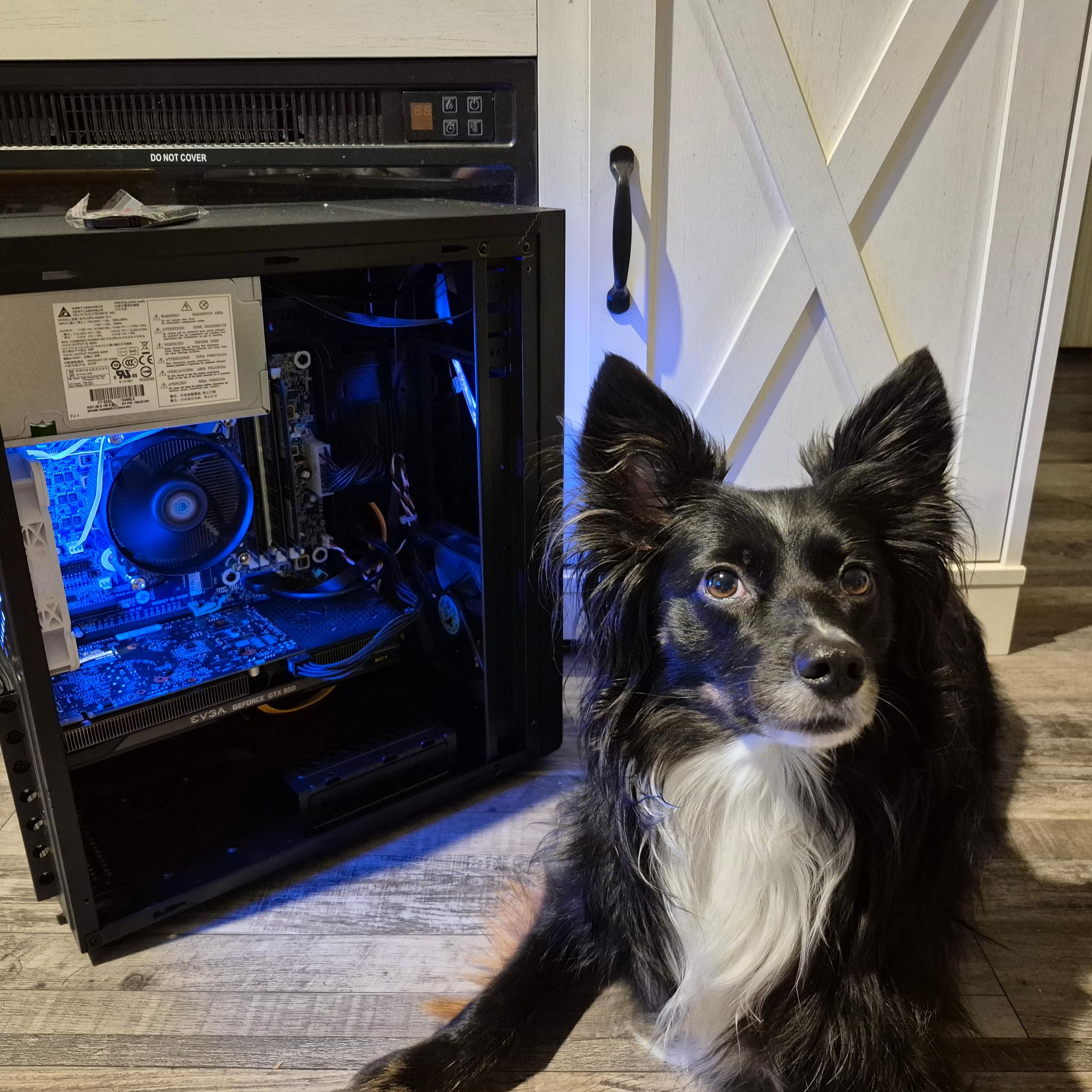 90 FPS Fortnite | i5-4570, 16GB RAM, 500GB SSD, GTX 950 2GB