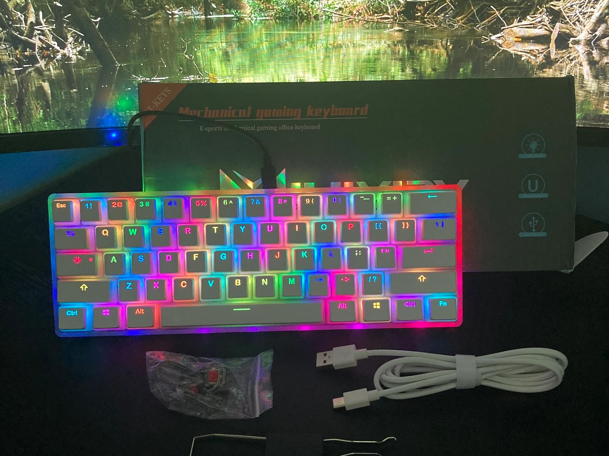 (PUDDING KEYCAPS) Gs61 Mechanical Keyboard (Transparent Bottom)