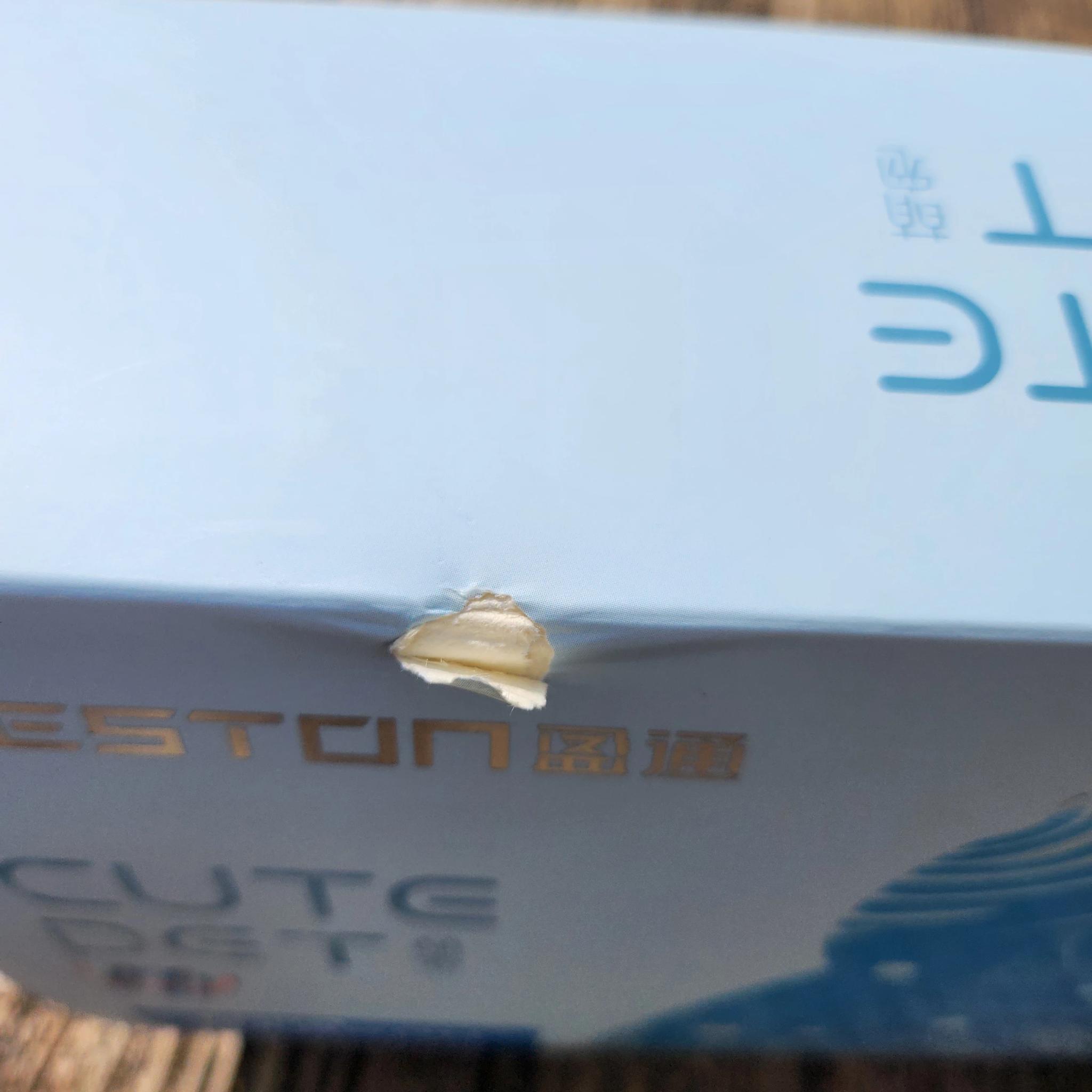 Yeston Radeon RX 6500 XT 4GB Cute Pet MA