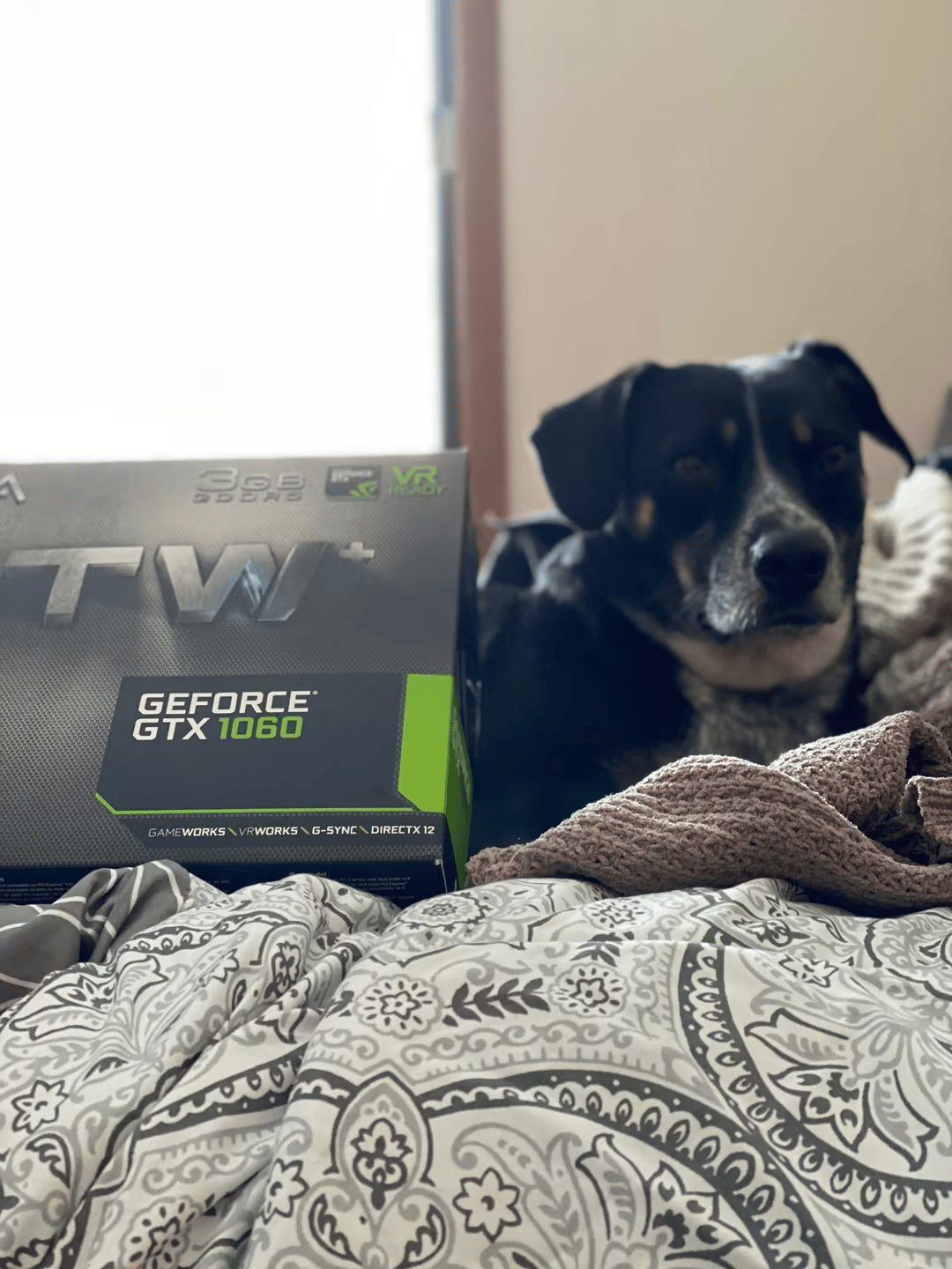 EVGA GTX 1060 3GB FTW+