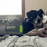 EVGA GTX 1060 3GB FTW+