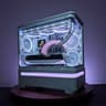 ❄️1440/4K BEAST | RX 9070XT | RYZEN 7 7800X3D | 32GB DDR5 | 2TB NVME | WIFI&BT |