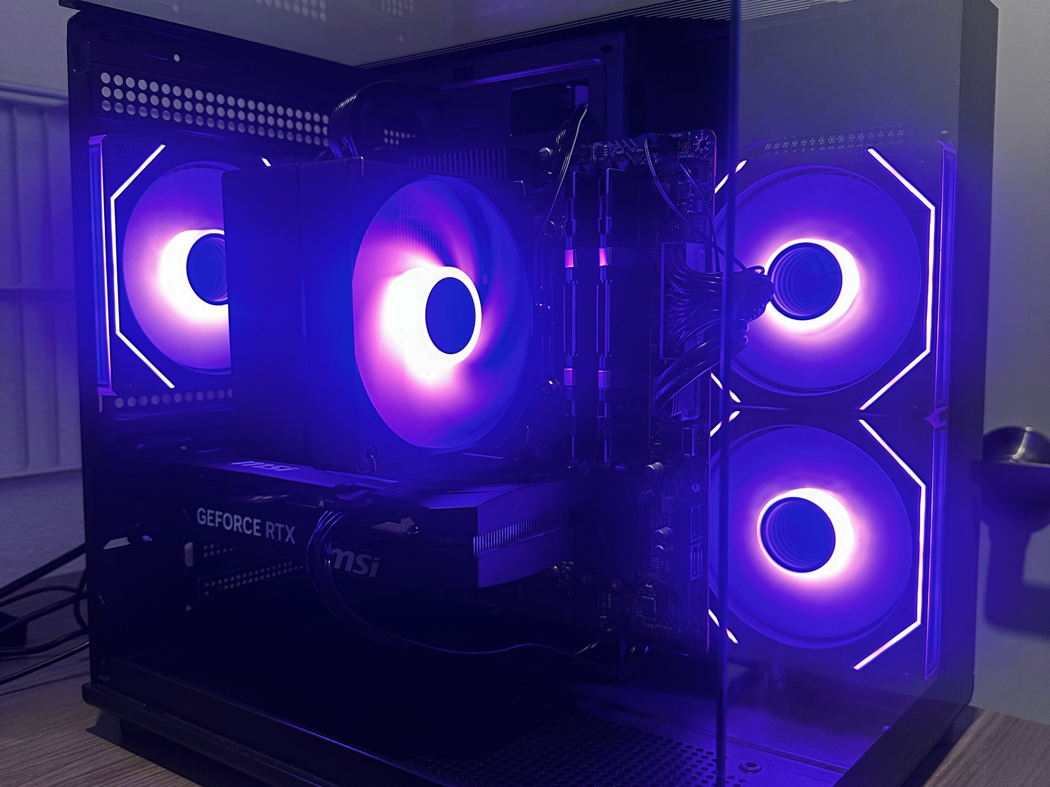 RTX 5060 FISH TANK BUILD