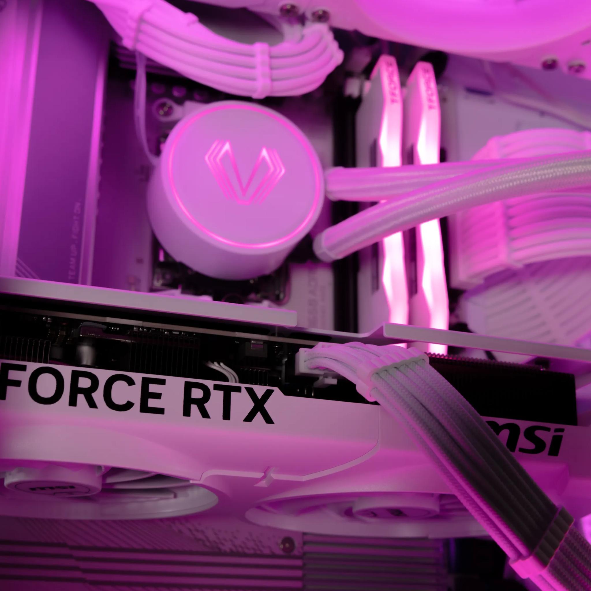 🖤 Echidna 🖤 RTX 5070 / AMD R7 9700X / 1TB NVME / 32GB DDR5 RAM / 360 AIO / Windows 11 Pro