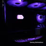 🖤RTX 4080●Core i7 14700F●1440p/4K Gaming Computer