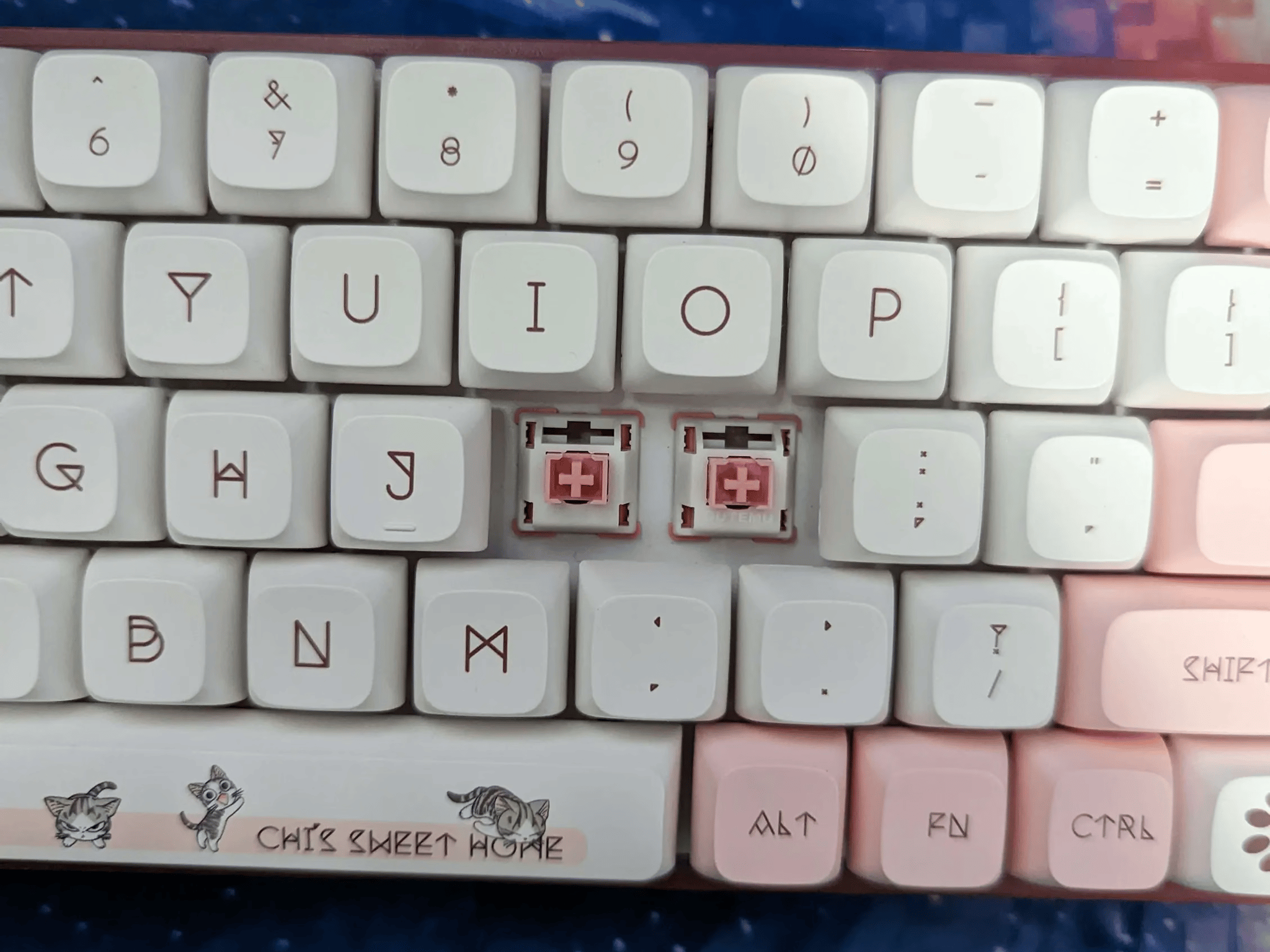 "Cute Kitties" TES68 65% Keyboard