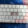 "Cute Kitties" TES68 65% Keyboard